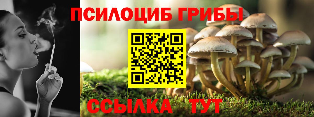 Самара  Галлюциногенные грибы прущие грибы  купить наркоту  Псилоцибиновые грибы Magic Shrooms  Вход с VPN 